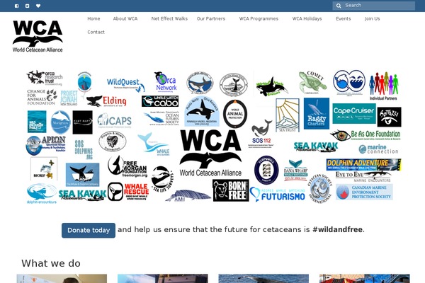 worldcetaceanalliance.org site used Wca