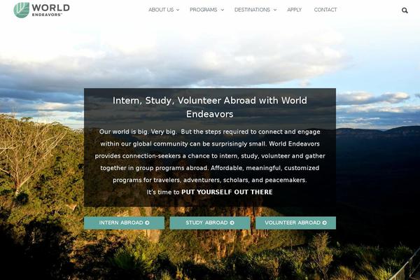 We theme websites examples