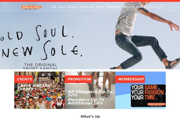 theme1365 theme websites examples