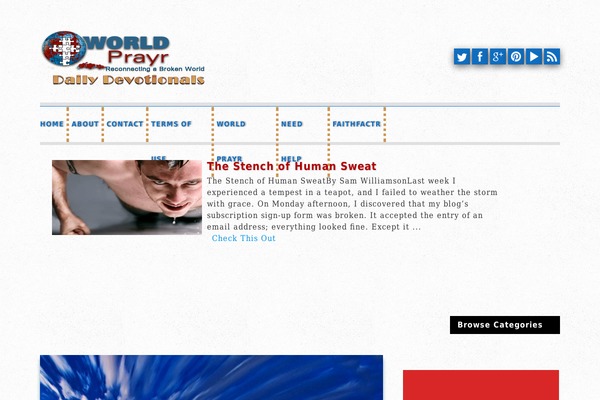 Foxy-Portfolio theme websites examples