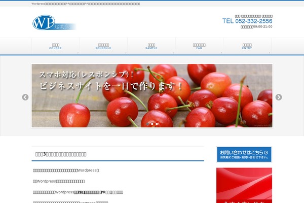 wp-startup.com site used Biz-vektor-4