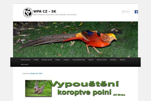 Twenty Eleven theme site design template sample