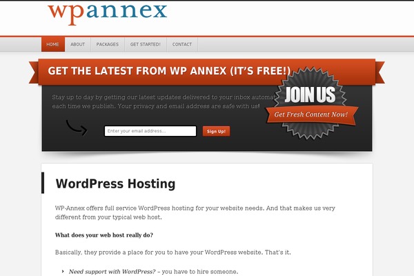 WordPress website example screenshot