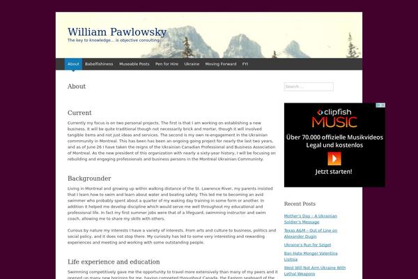 WordPress website example screenshot