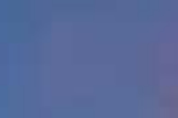 x-child-custom theme websites examples