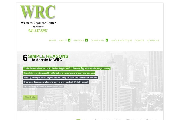 WordPress website example screenshot