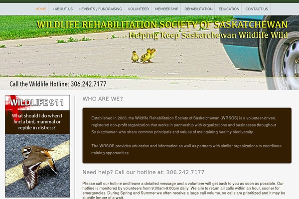 WordPress website example screenshot