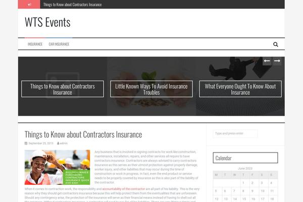 FlyMag theme site design template sample