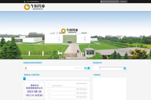 wushiyaoye.com site used Bluepark