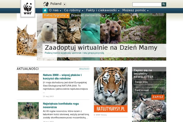 wwf theme websites examples