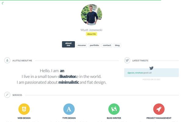 cvCard theme websites examples