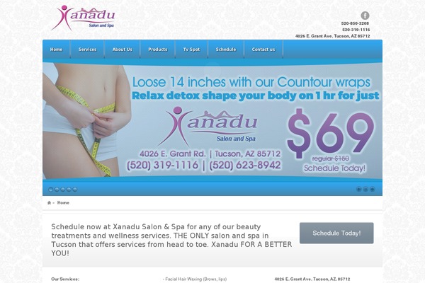 Xanadu theme site design template sample