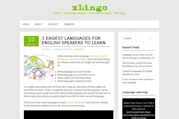 Contango theme site design template sample