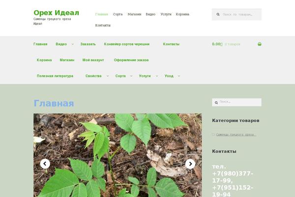 Storefront theme site design template sample