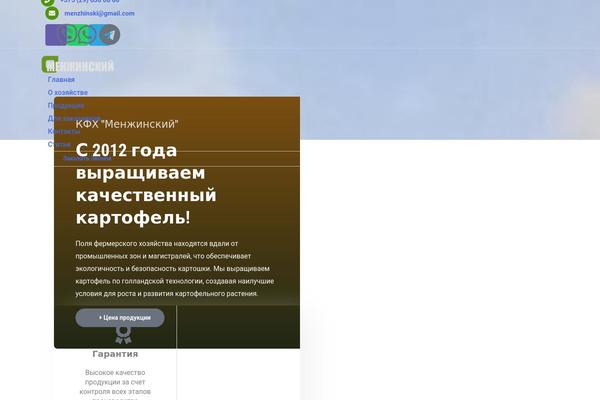 WordPress website example screenshot