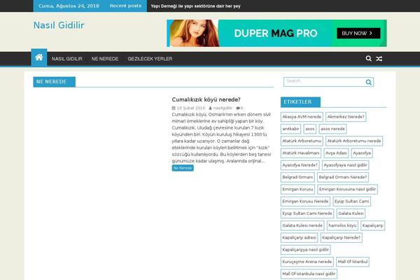 DuperMag theme site design template sample