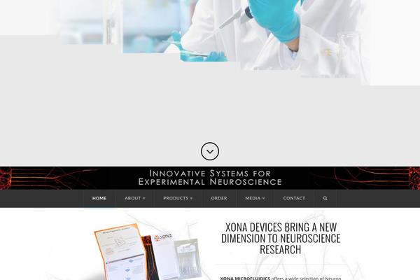 WordPress website example screenshot