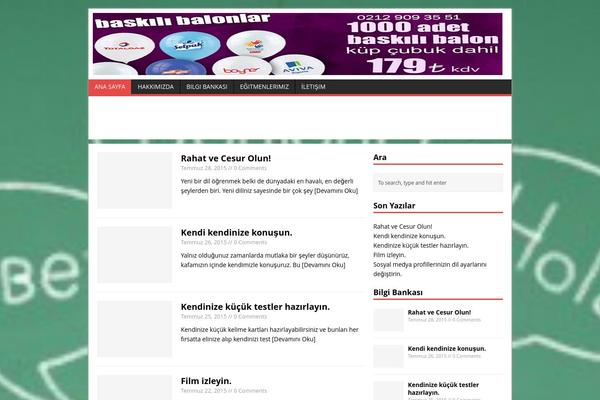 WordPress website example screenshot