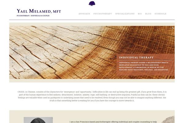 Enfold theme site design template sample