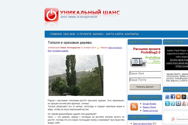 yaemma.ru site used Profoblog20