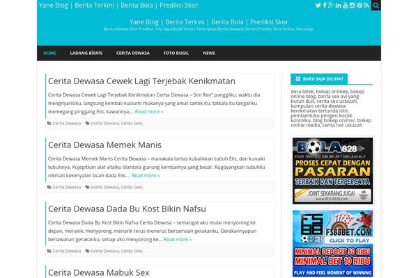 WordPress website example screenshot
