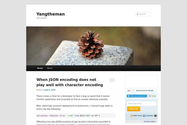 Site using Easy-mashable-social-bar plugin