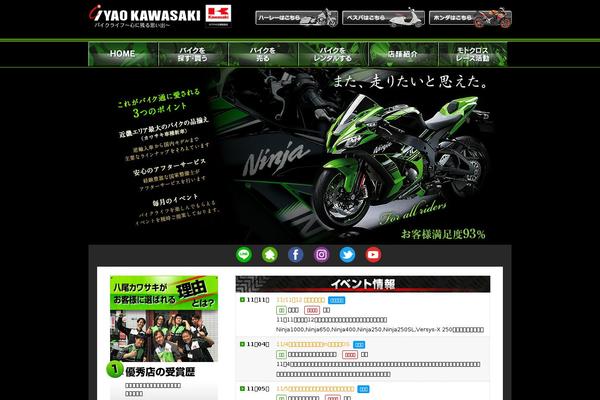 yaokawasaki.com site used Yaokawasaki