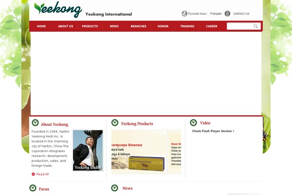 yeekong.com site used Wpapple