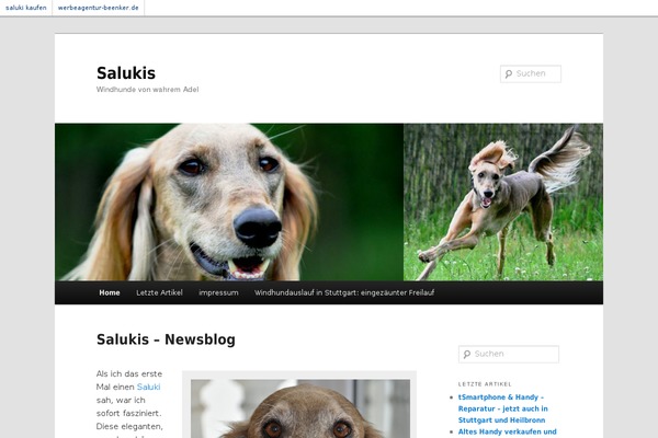 WordPress website example screenshot