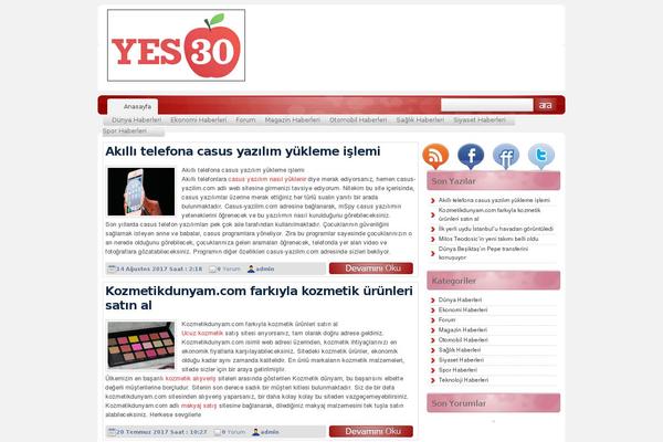 yes30.org site used SEO Hocasi V3