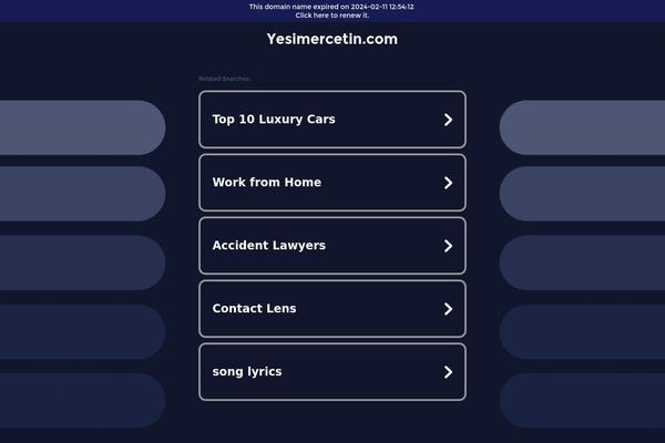 WordPress website example screenshot