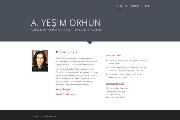 Enfold theme site design template sample