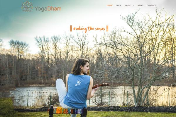 Divi theme site design template sample