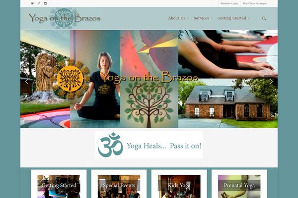 Salient theme site design template sample
