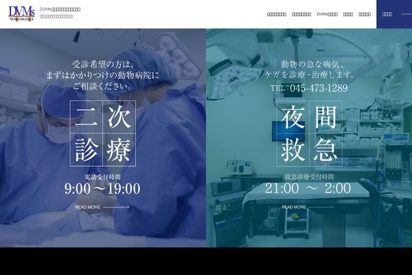 yokohama-dvms.com site used Dmvs