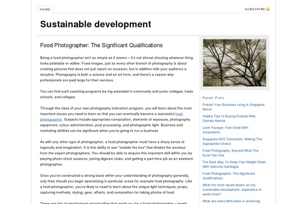 WordPress website example screenshot