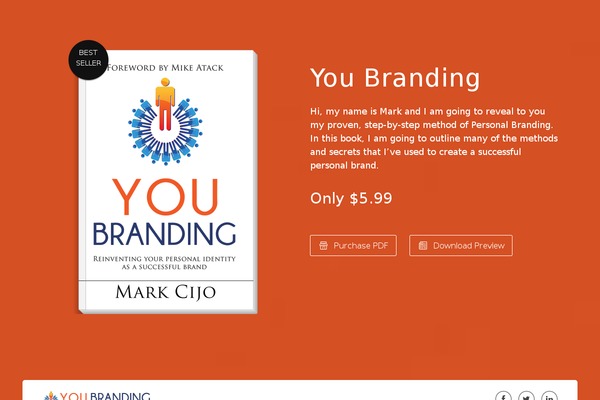 youbrandingbook.com site used Brown-theme