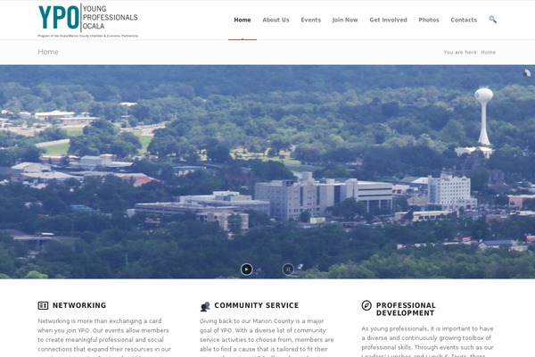 Enfold theme site design template sample