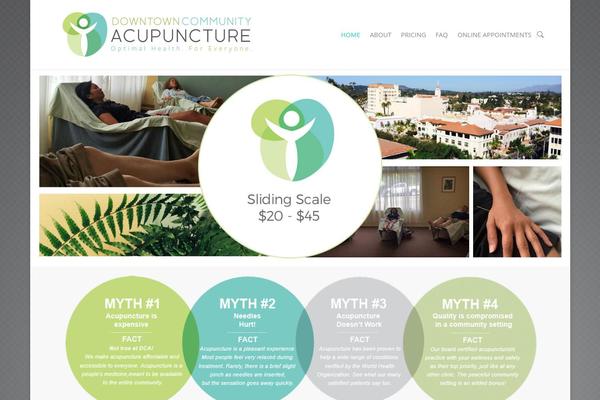 Salient theme site design template sample