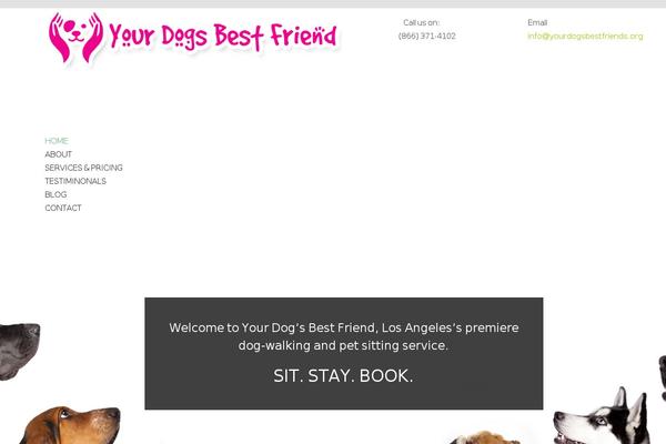 Avada theme site design template sample