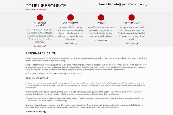 SKT IT Consultant theme site design template sample