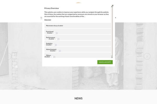 Site using MailChimp for WordPress plugin