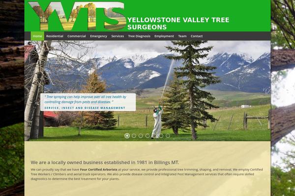 yvts.com site used Yvts-custom