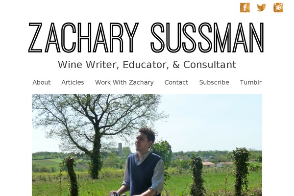 Virtue theme site design template sample