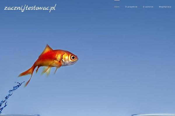 zacznijtestowac.pl site used Zt