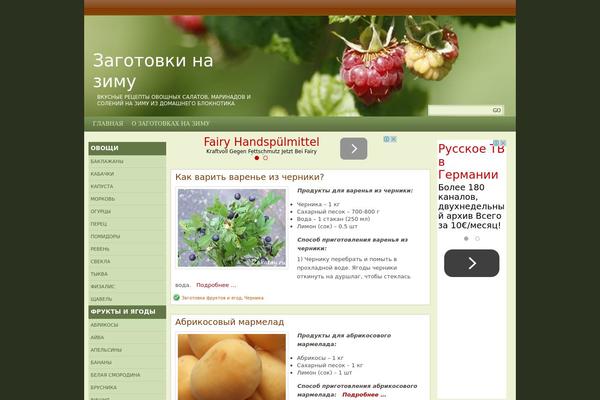 WordPress website example screenshot