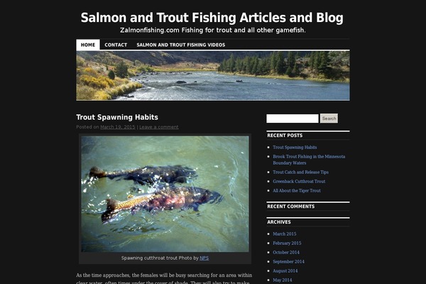 WordPress website example screenshot