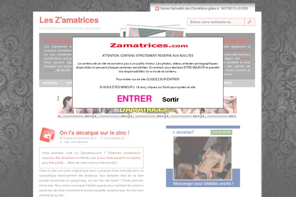 zamatrices.com site used Wp-polaroid