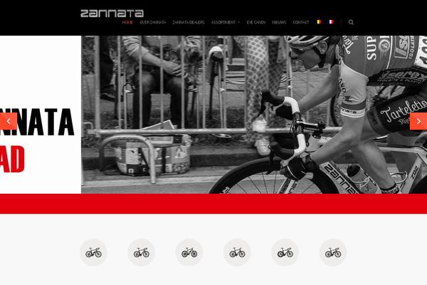 Salient theme site design template sample