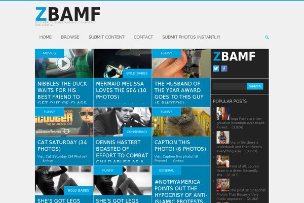 zbamf.com site used Zbamf